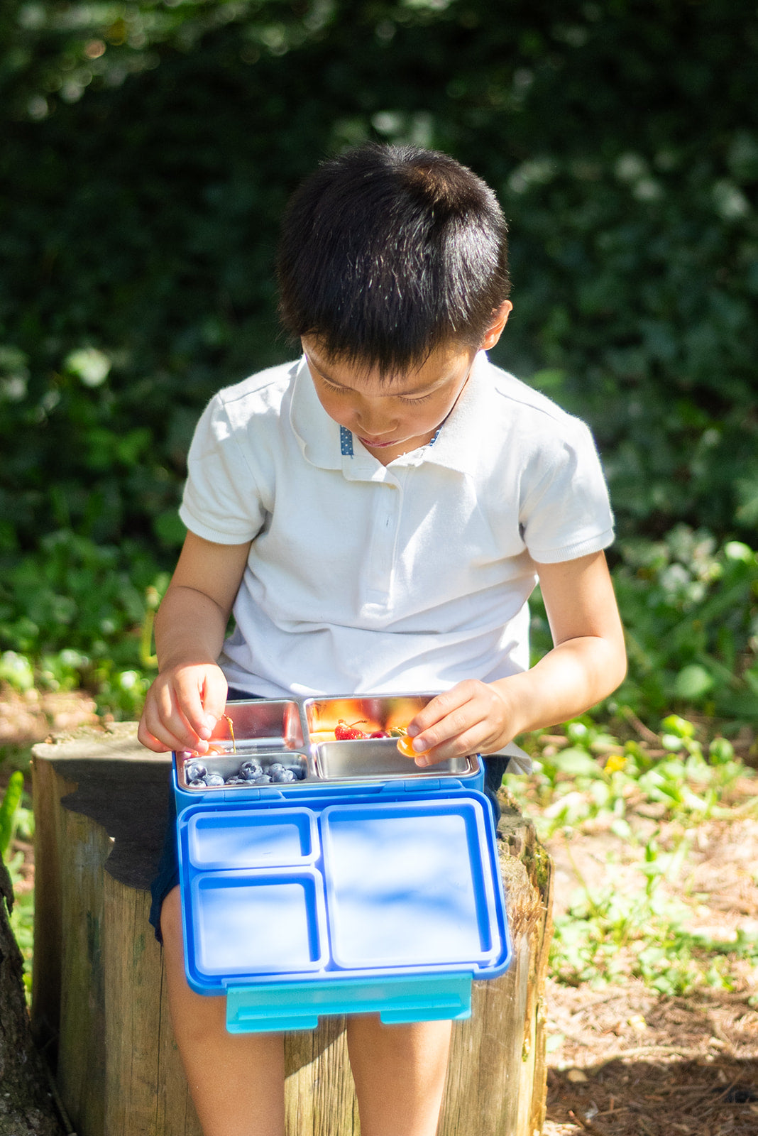 GOARCA Stainless Steel Bento Lunchbox