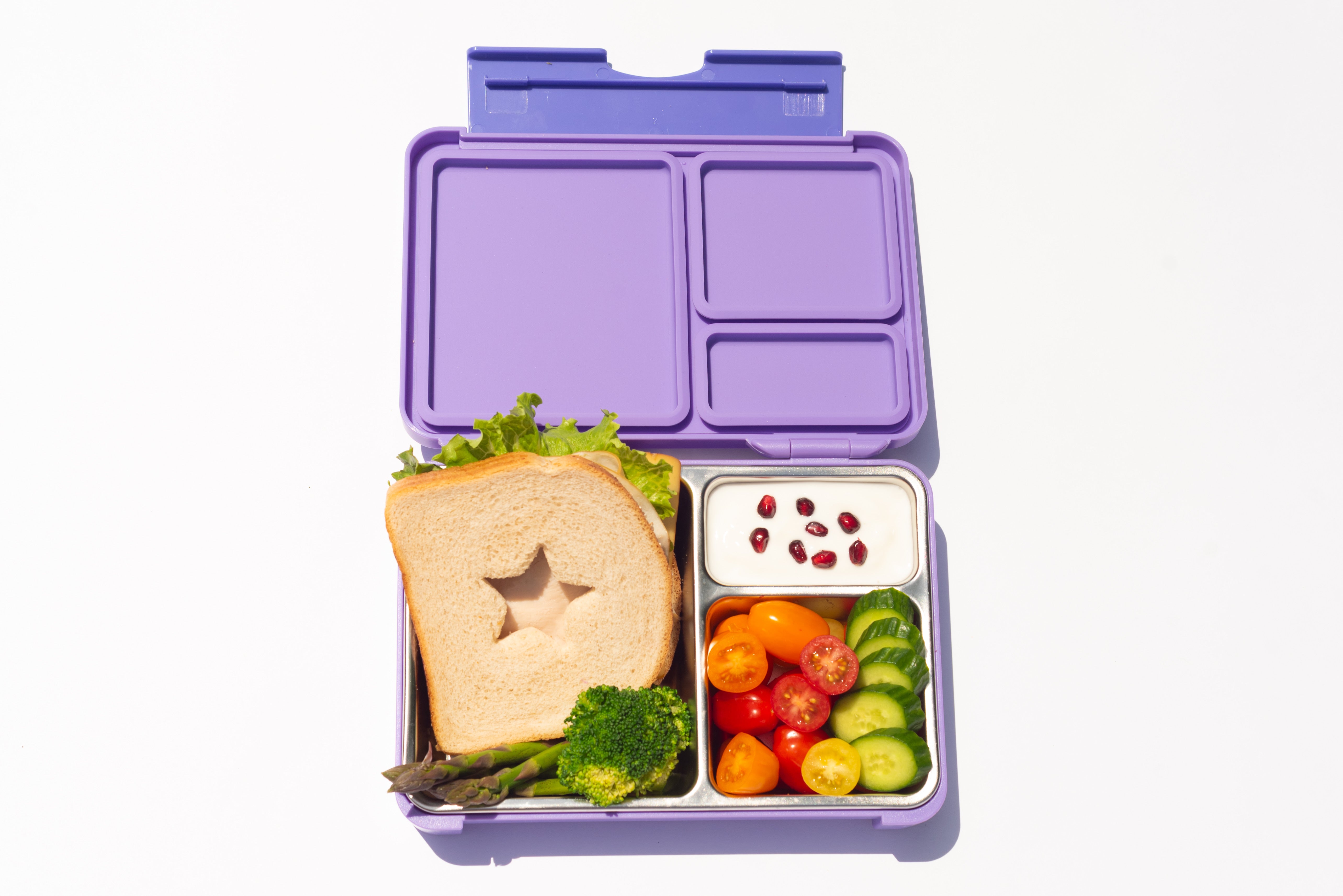 GOARCA Stainless Steel Bento Lunchbox