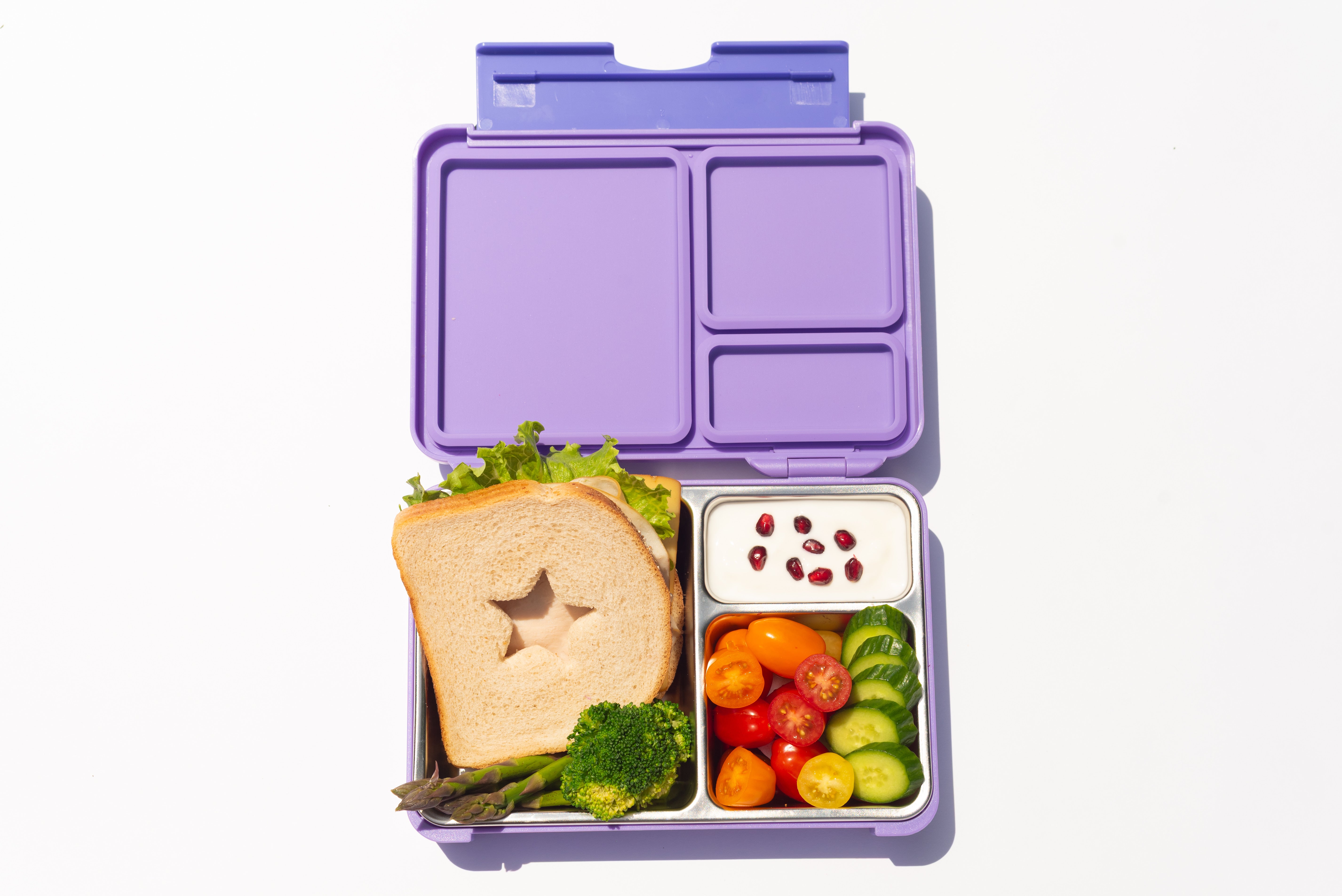 GOARCA Stainless Steel Bento Lunchbox
