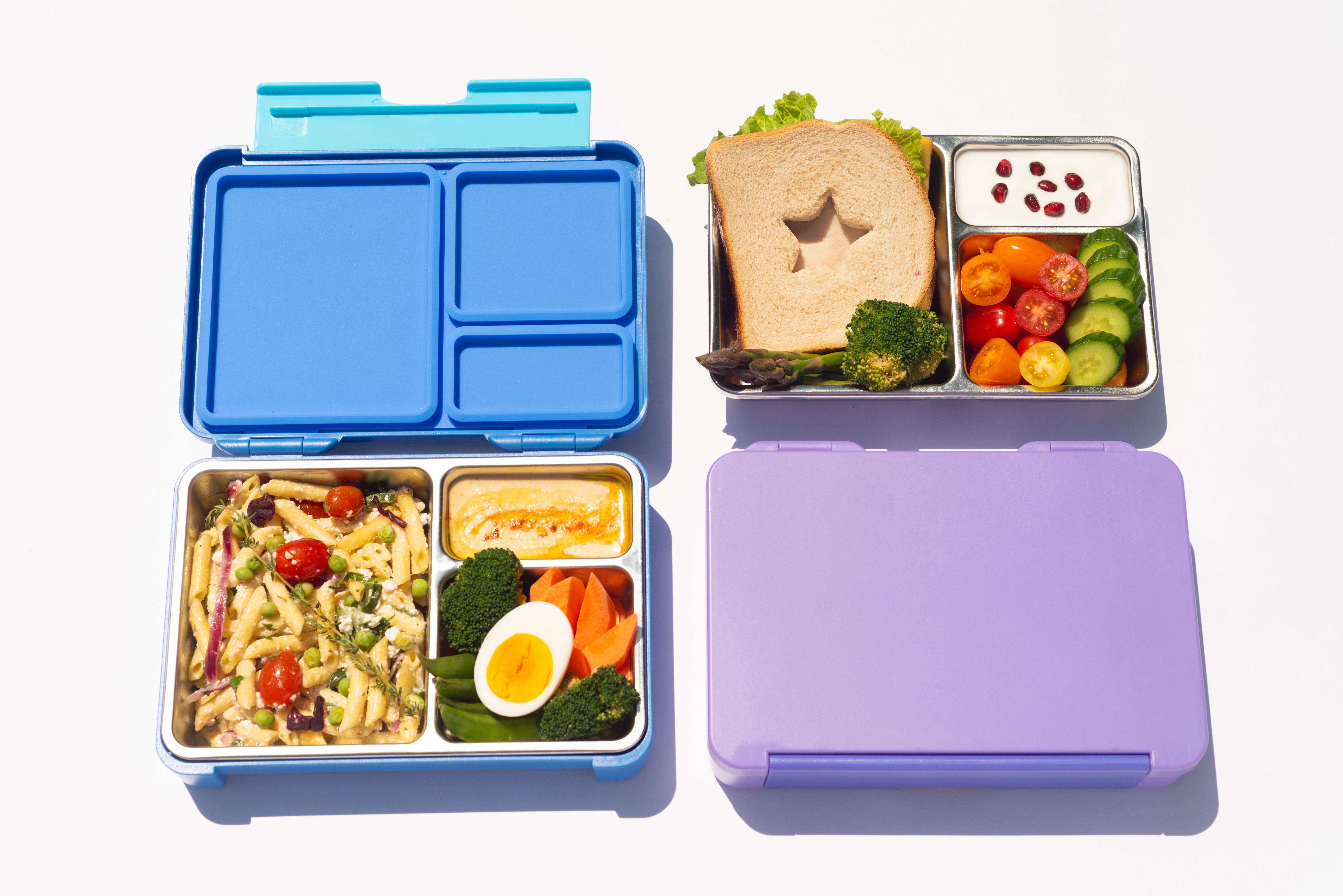 GOARCA Stainless Steel Bento Lunchbox